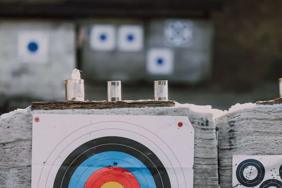 Understanding Different Types of Shooting Targets